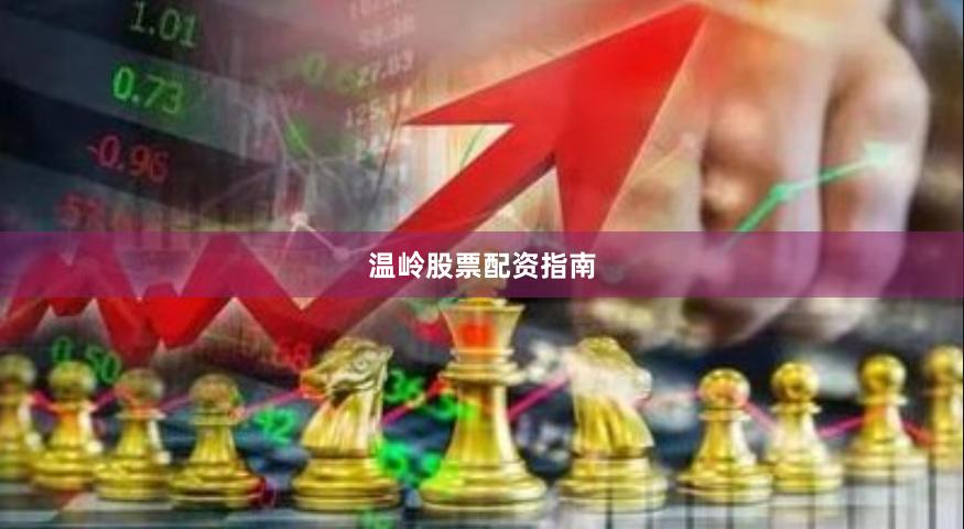 温岭股票配资指南